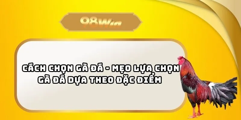 Cách chọn gà đá