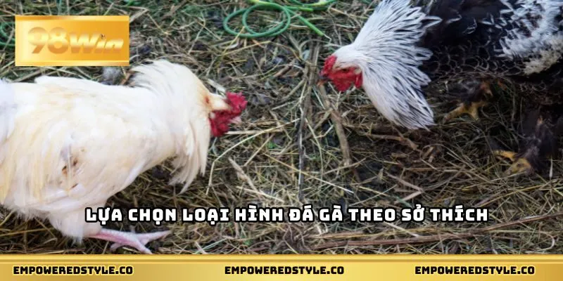 Lựa chọn loại hình đá gà theo sở thích